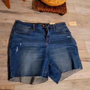 NWT! Universal Thread Boyfriend Shorts 16W|6' Vintage Stretch! Super cute